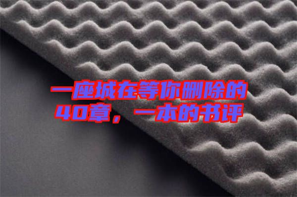 一座城在等你刪除的40章,一本的書評