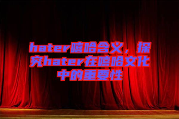 hater嘻哈含義,探究hater在嘻哈文化中的重要性