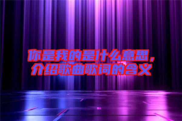 你是我的是什么意思,介紹歌曲歌詞的含義