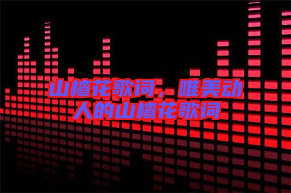 山楂花歌詞，唯美動(dòng)人的山楂花歌詞