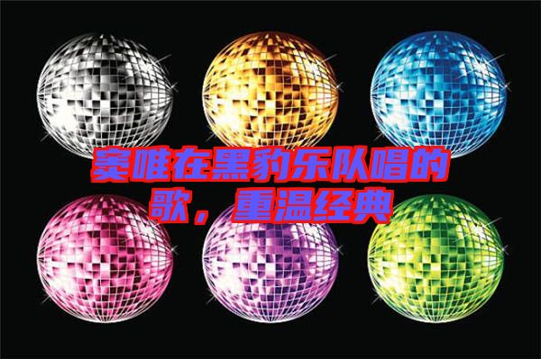 竇唯在黑豹樂隊唱的歌,重溫經典