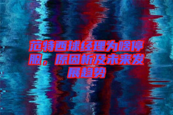 范特西球經理為啥停服,原因析及未來發展趨勢