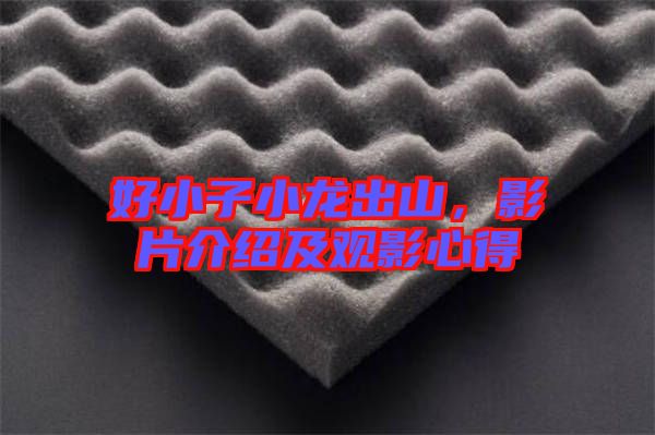 好小子小龍出山,影片介紹及觀影心得