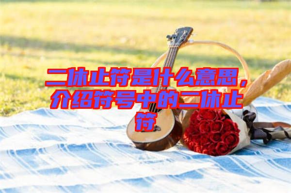 二休止符是什么意思,介紹符號中的二休止符