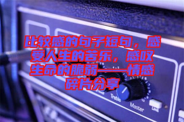 比較感的句子短句,感受人生的苦樂(lè),感嘆生命的脆弱——情感碎片分享