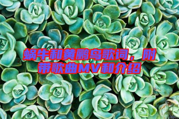 蝸牛和黃鸝鳥歌詞,附帶歌曲MV和介紹