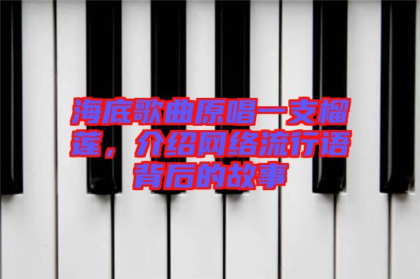 海底歌曲原唱一支榴蓮,介紹網絡流行語背后的故事