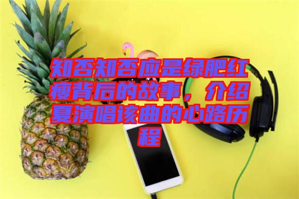 知否知否應是綠肥紅瘦背后的故事,介紹夏演唱該曲的心路歷程