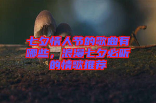 七夕情人節(jié)的歌曲有哪些,浪漫七夕必聽的情歌推薦