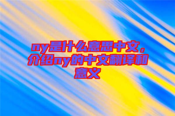 ny是什么意思中文,介紹ny的中文翻譯和意義