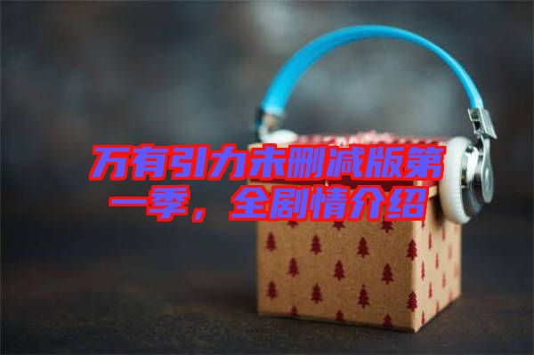 萬有引力未刪減版第一季,全劇情介紹