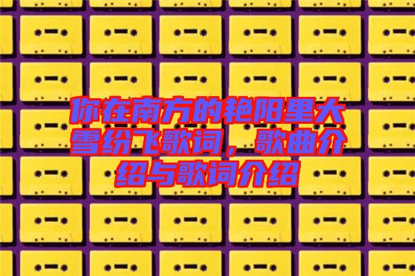 你在南方的艷陽里大雪紛飛歌詞,歌曲介紹與歌詞介紹