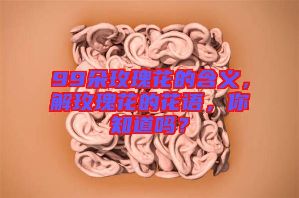 99朵玫瑰花的含義,解玫瑰花的花語,你知道嗎?
