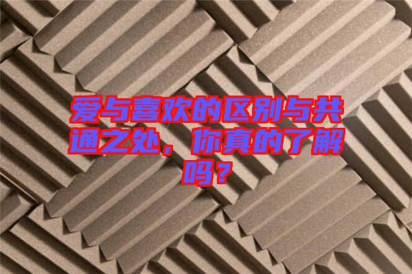 愛與喜歡的區別與共通之處,你真的了解嗎?