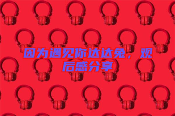 因為遇見你達達兔,觀后感分享