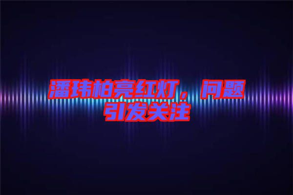 潘瑋柏亮紅燈，問(wèn)題引發(fā)關(guān)注