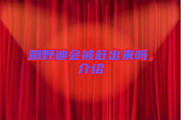 蹦野迪會(huì)被趕出來嗎,介紹