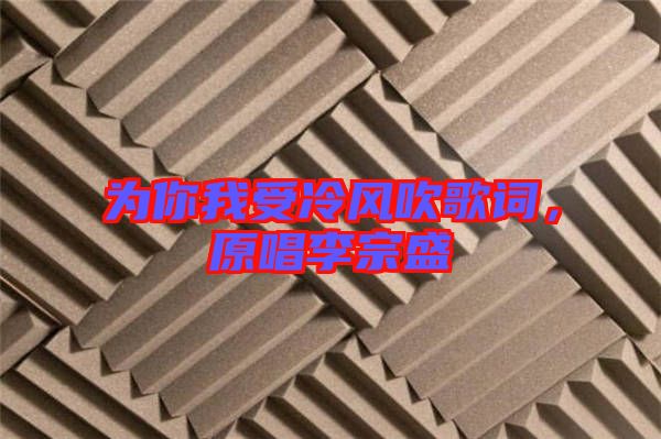 為你我受冷風(fēng)吹歌詞,原唱李宗盛