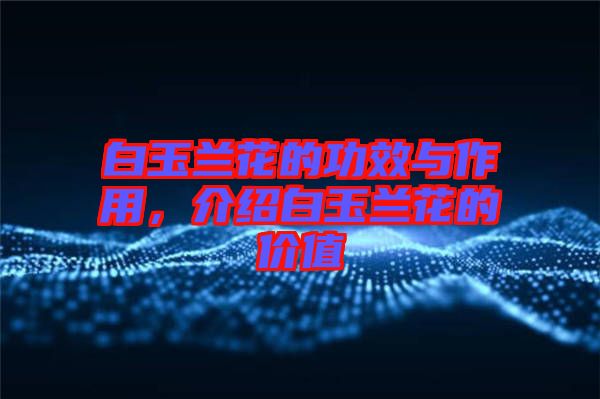 白玉蘭花的功效與作用,介紹白玉蘭花的價(jià)值