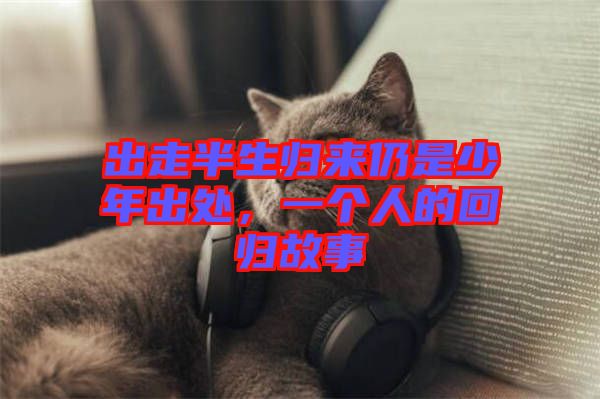 出走半生歸來仍是少年出處,一個人的回歸故事