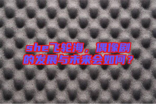 she飛輪海,偶像劇的發(fā)展與未來(lái)會(huì)如何?