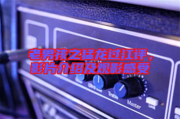 老男孩之猛龍過江評，影片介紹及觀影感受