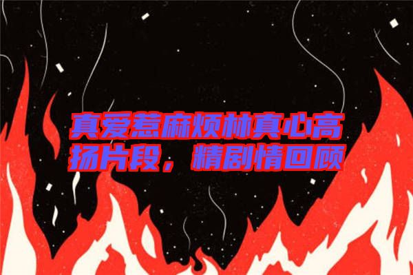 真愛惹麻煩林真心高揚片段,精劇情回顧