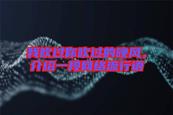 我吹過你吹過的晚風(fēng),介紹一段網(wǎng)絡(luò)流行語