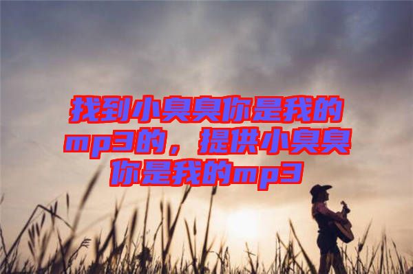 找到小臭臭你是我的mp3的，提供小臭臭你是我的mp3