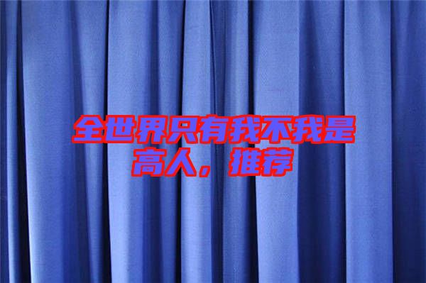 全世界只有我不我是高人,推薦