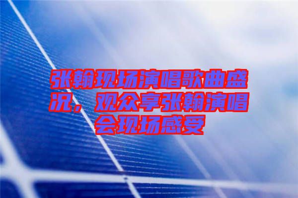 張翰現場演唱歌曲盛況,觀眾享張翰演唱會現場感受