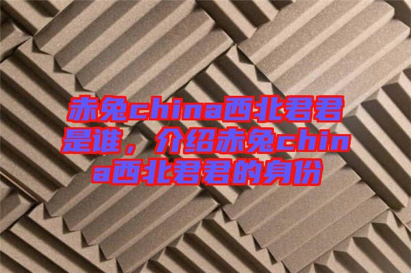 赤兔china西北君君是誰,介紹赤兔china西北君君的身份