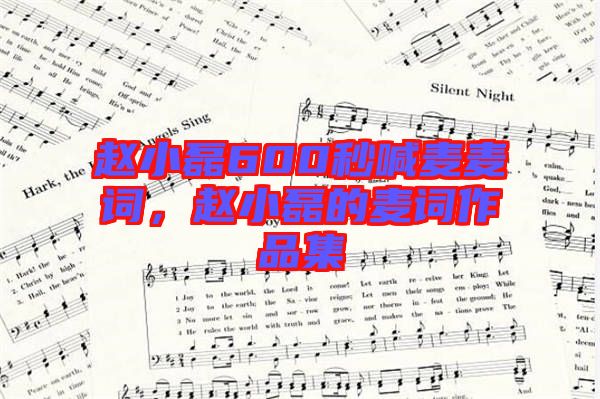 趙小磊600秒喊麥麥詞，趙小磊的麥詞作品集