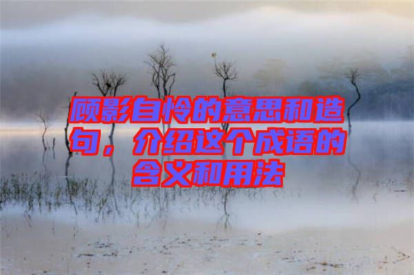 顧影自憐的意思和造句,介紹這個成語的含義和用法