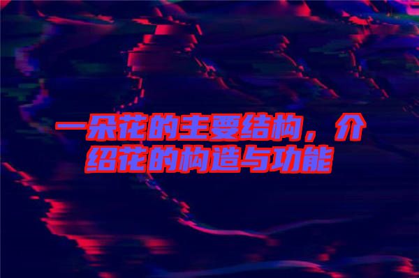 一朵花的主要結構,介紹花的構造與功能