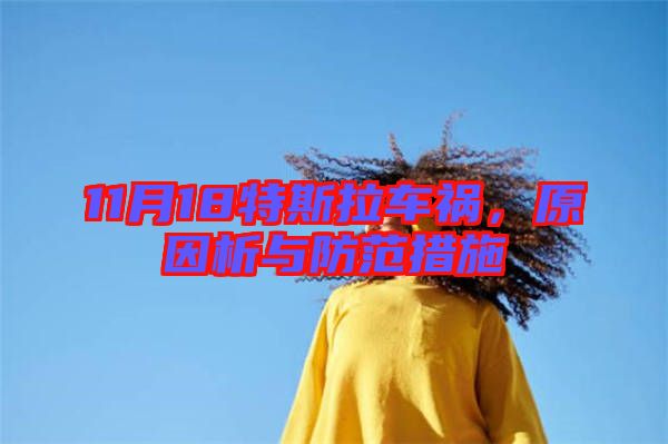 11月18特斯拉車禍,原因析與防范措施