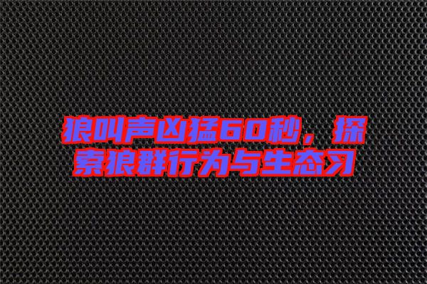 狼叫聲兇猛60秒，探索狼群行為與生態習