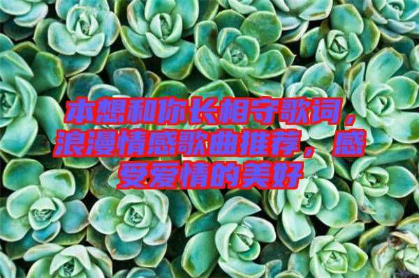 本想和你長相守歌詞，浪漫情感歌曲推薦，感受愛情的美好