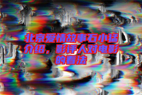 北京愛情故事石小猛介紹,影評人對電影的看法