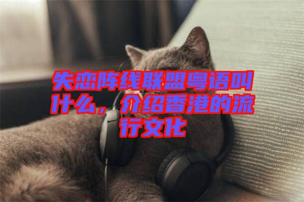 失戀陣線聯(lián)盟粵語(yǔ)叫什么,介紹香港的流行文化
