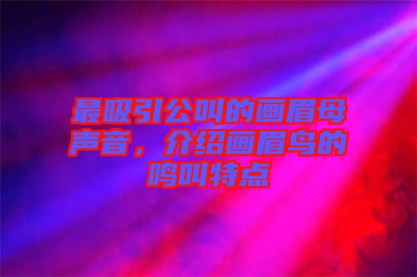 最吸引公叫的畫眉母聲音,介紹畫眉鳥的鳴叫特點