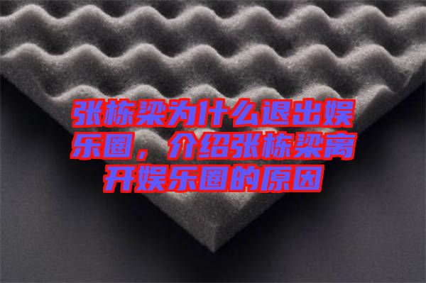 張棟梁為什么退出娛樂圈，介紹張棟梁離開娛樂圈的原因