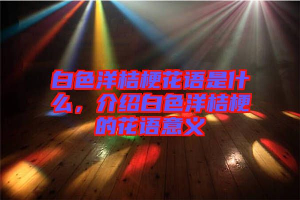 白色洋桔梗花語是什么，介紹白色洋桔梗的花語意義
