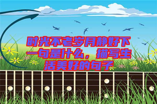 時光不老歲月靜好下一句是什么，描寫生活美好的句子