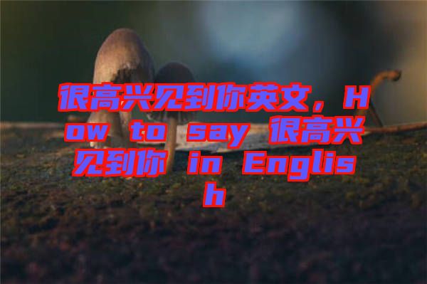 很高興見到你英文,How to say 很高興見到你 in English