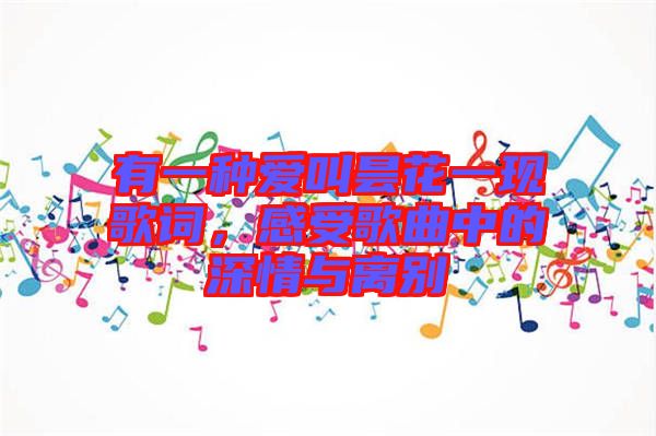 有一種愛叫曇花一現歌詞,感受歌曲中的深情與離別