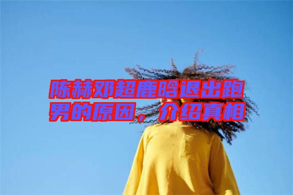 陳赫鄧超鹿晗退出跑男的原因,介紹真相