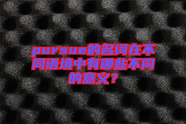 pursue的名詞在不同語境中有哪些不同的意義?