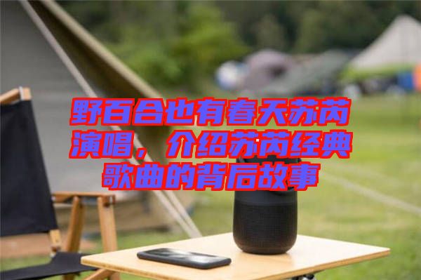 野百合也有春天蘇芮演唱,介紹蘇芮經典歌曲的背后故事