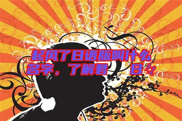 起風了日語版叫什么名字,了解君といた日々